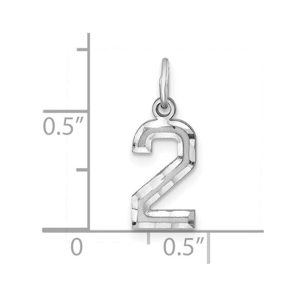 Sterling Silver, Varsity Collection, Small D/C Pendant, Number 2 - Picture 4 of 5